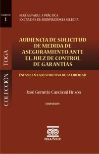 Audiencia de solicitud de medida de aseguramiento ante el juez de control de garantías