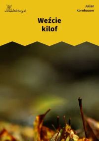 Weźcie kilof