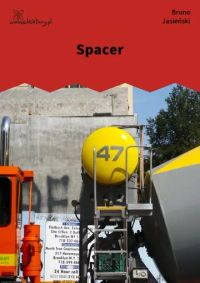 Spacer