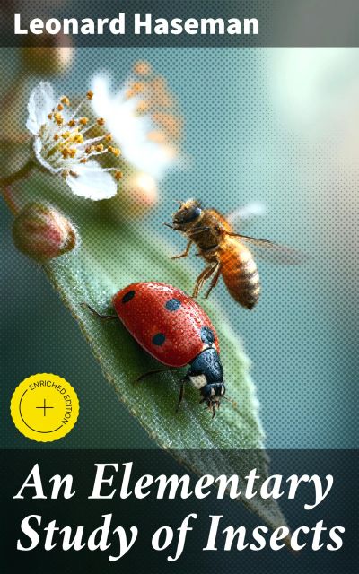 An Elementary Study of Insects