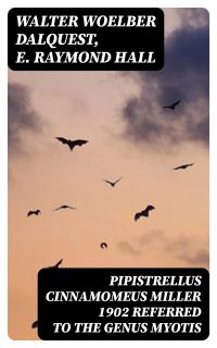 Pipistrellus cinnamomeus Miller 1902 Referred to the Genus Myotis