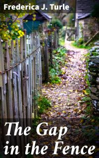 The Gap in the Fence