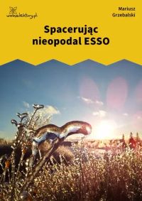 Spacerując nieopodal ESSO