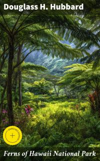 Ferns of Hawaii National Park