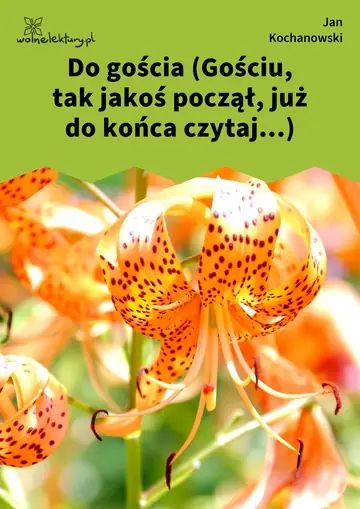 Do gościa (Gościu, tak jakoś począł, już do końca czytaj...)