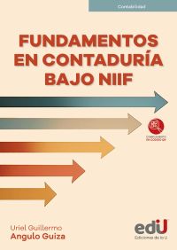 Fundamentos en contaduría bajo NIIF