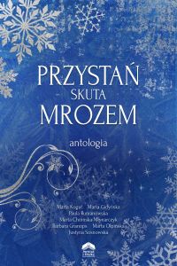 Przystań skuta mrozem