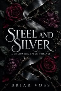 Steel and Silver