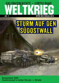 Sturm auf den Südostwall (Weltkrieg Erlebnisberichte Doppelband Heft 2)