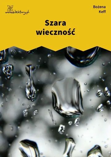 Szara wieczność