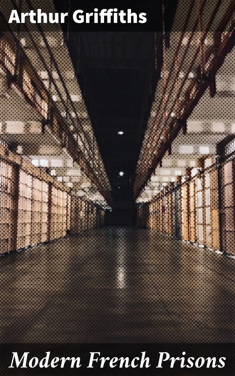 Modern French Prisons