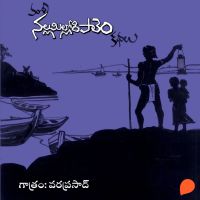 Nallamillori Pale Kathalu (నల్లమిల్లోరి పాలెం కథలు)