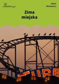 Zima miejska