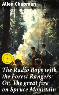 The Radio Boys with the Forest Rangers; Or, The great fire on Spruce Mountain