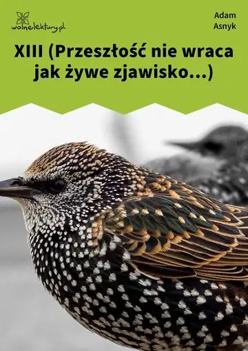 XIII (Przeszłość nie wraca jak żywe zjawisko...)
