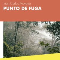 Punto de fuga