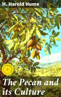 The Pecan and its Culture