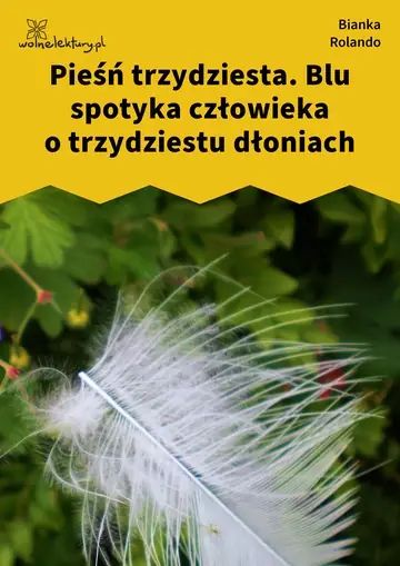 Pieśń trzydziesta. Blu spotyka człowieka o trzydziestu dłoniach