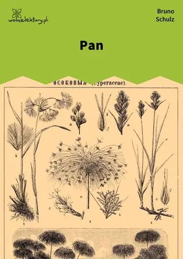 Pan