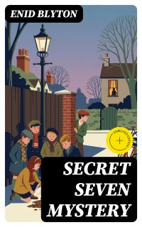 Secret Seven Mystery