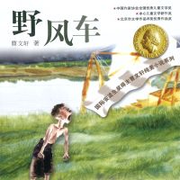 野风车