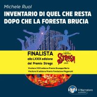 Inventario di quel che resta dopo che la foresta brucia