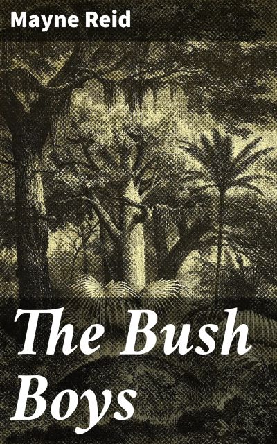 The Bush Boys