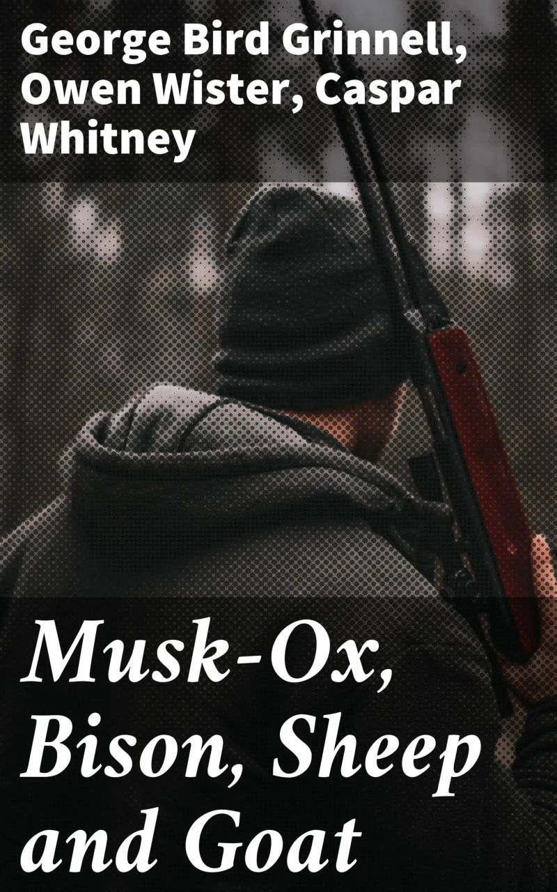 Musk-Ox, Bison, Sheep and Goat
