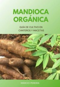 Mandioca Orgánica