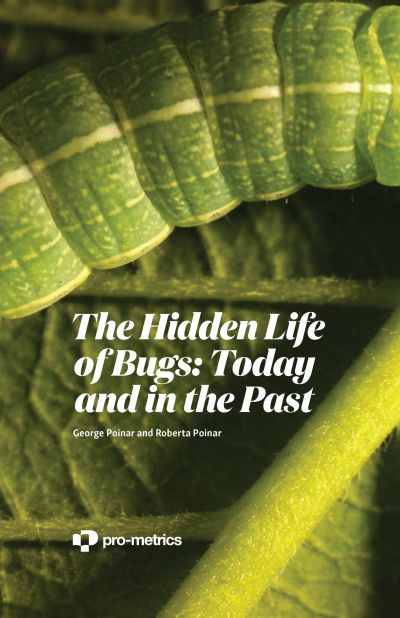 The Hidden Life of Bugs Today and in the Past