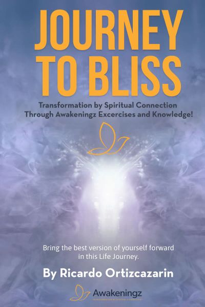 Journey to Bliss - Book
