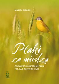 Ptaki za miedzą