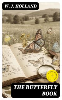 The Butterfly Book