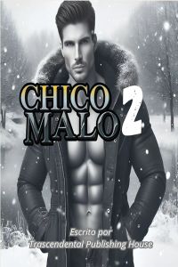 Chico malo 2