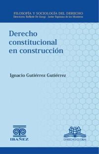 Derecho constitucional en construcción