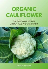 Organic Cauliflower