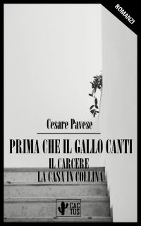 Prima che il gallo canti