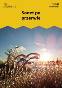 Sonet po przerwie