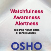 Watchfulness Awareness Alertness