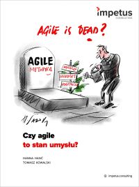 Czy agile to stan umysłu?