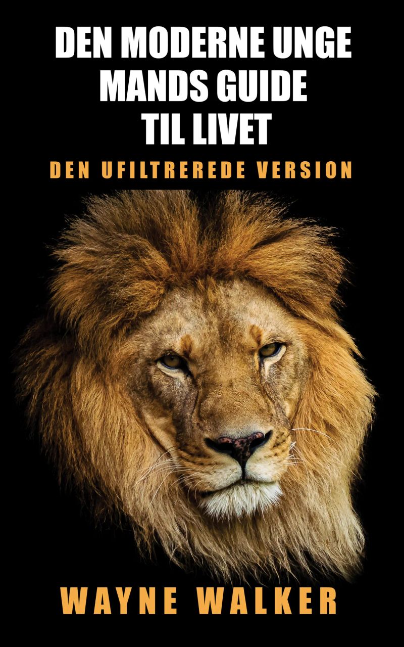 Den moderne unge mands guide til livet