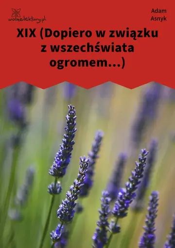 XIX (Dopiero w związku z wszechświata ogromem...)