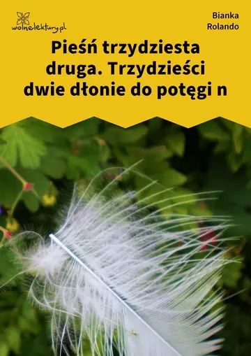 Pieśń trzydziesta druga. Trzydzieści dwie dłonie do potęgi n