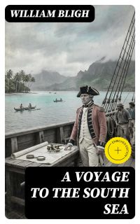 A Voyage to the South Sea