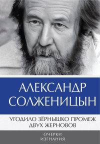Угодило зёрнышко промеж двух жерновов. Очерки изгнания