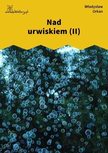 Nad urwiskiem (II)