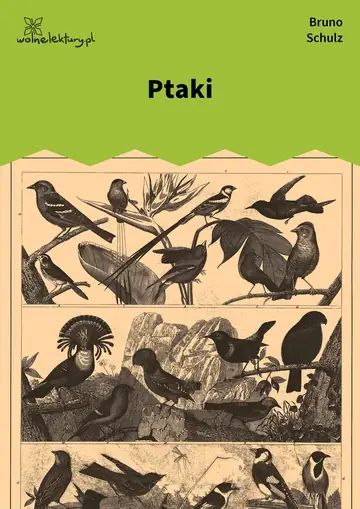 Ptaki