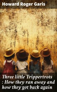 Three little Trippertrots : How they ran away and how they got back again