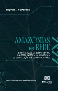 Amazônias em Rede