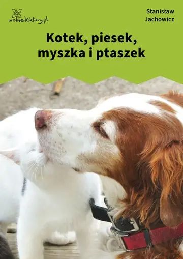Kotek, piesek, myszka i ptaszek